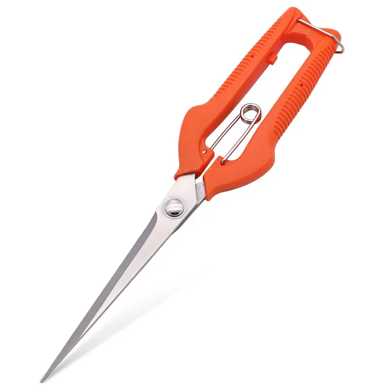 Gunting Anggur Gunting Pemangk - Furniture Joining Hardware ulasan dan harga