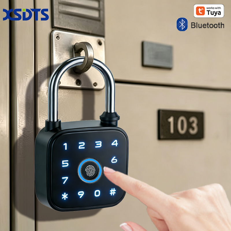Gembok Pintar Tuya, Kunci Elek - Cabinet Lock Key ulasan dan harga